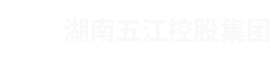 湖南cq9电子官方网站控股集团有限公司